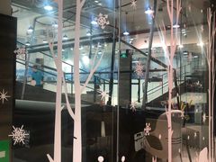-SNOWGATE滑雪·华雪梦(老西门店)