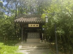 -兰亭风景区