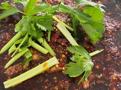 -温江公平红烧兔(总店)