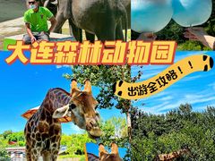 -大连森林动物园