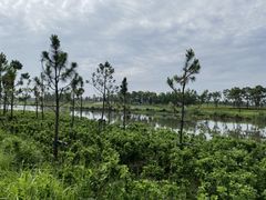 -春花秋色城市公园