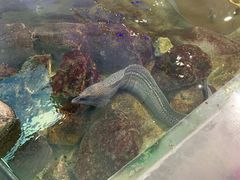 -鸿通城购物中心