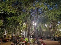 -Fern Forest Cafe