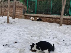 -北京西山国家森林公园