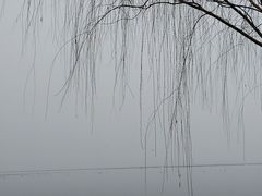 -白洋淀景区