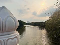 -海珠湖公园