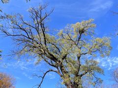 -北京西山国家森林公园