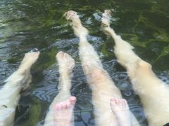 -龙达温泉生态城