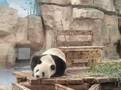 -无锡动物园·太湖欢乐园