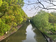 -上海长兴岛郊野公园