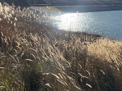 -浙西天池景区