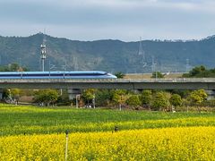 -光明小镇欢乐田园