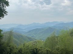 -莫干山风景区