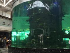 -凤凰轩·尾牙宴·生日宴(十里银滩店)