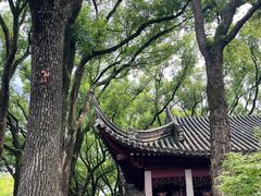 -天一阁博物院
