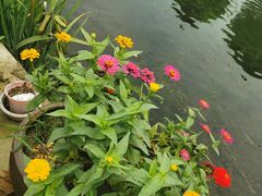 -乡乐园蟹庄·阳澄湖农家乐