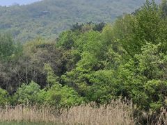 -西湖风景区-江洋畈生态公园