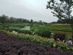 -天府芙蓉园