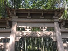 -午潮山国家森林公园
