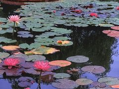 -国家植物园南园