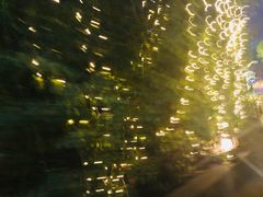 -宝莱纳啤酒花园餐厅PAULANER BRAUHAUS Nanjing(广州路店)