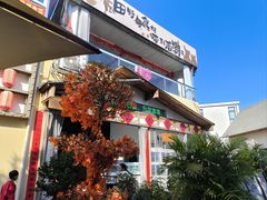 -后湖小院·乡野田园菜