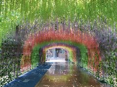 -济南方特东方神画