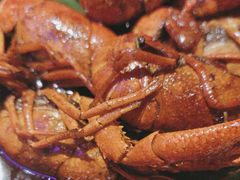 -京悦南门涮羊肉·羊蝎子火锅(田林路店)