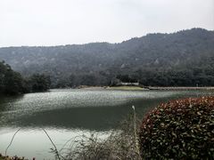 -桃花岭景区