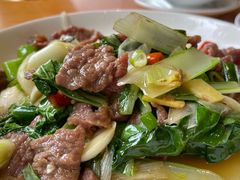 -曾牛肉