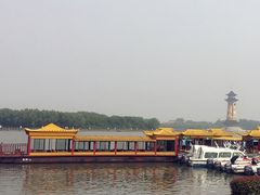 -溱湖国家湿地公园