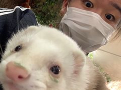 -藦茜花园宠物主题亲子互动体验馆(国顺东路店)