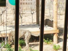 -太原动物园