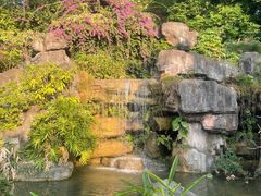 -广州神农草堂中医药博物馆