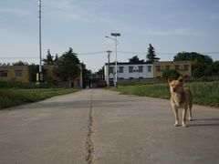 -西安汉城湖景区