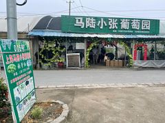 -马陆小张葡萄园农家乐