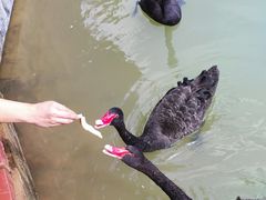 -广州白江湖森林公园