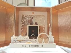 -DR钻戒(成都银泰城店)