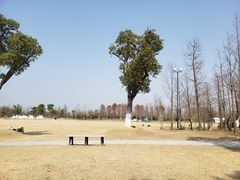 -上海长兴岛郊野公园