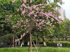 -沙河三洞古桥公园