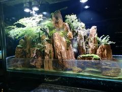 景观位-泰谷酒店·太古码头闽菜自助餐厅