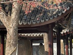 -苏州文庙(姑苏区)
