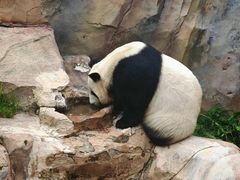 -青藏高原野生动物园