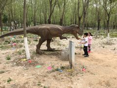 -草根堂农场