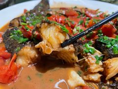 -生态苑农庄(十里画廊遇龙河店)