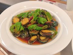 船歌始创辣炒原壳小鲍鱼-船歌·鱼水饺青岛菜(石老人店)