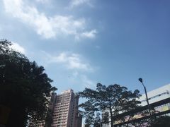 -香港大学