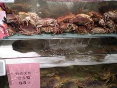 -超级物种·波龙工坊(国贸店)