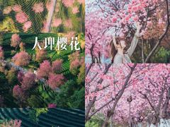 -大理古城