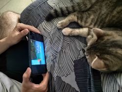 -藤野造型专业烫染接发